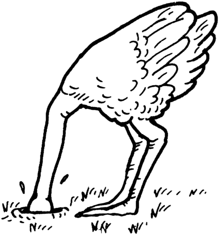 Ostrich Bury Head Sand  Coloring Page